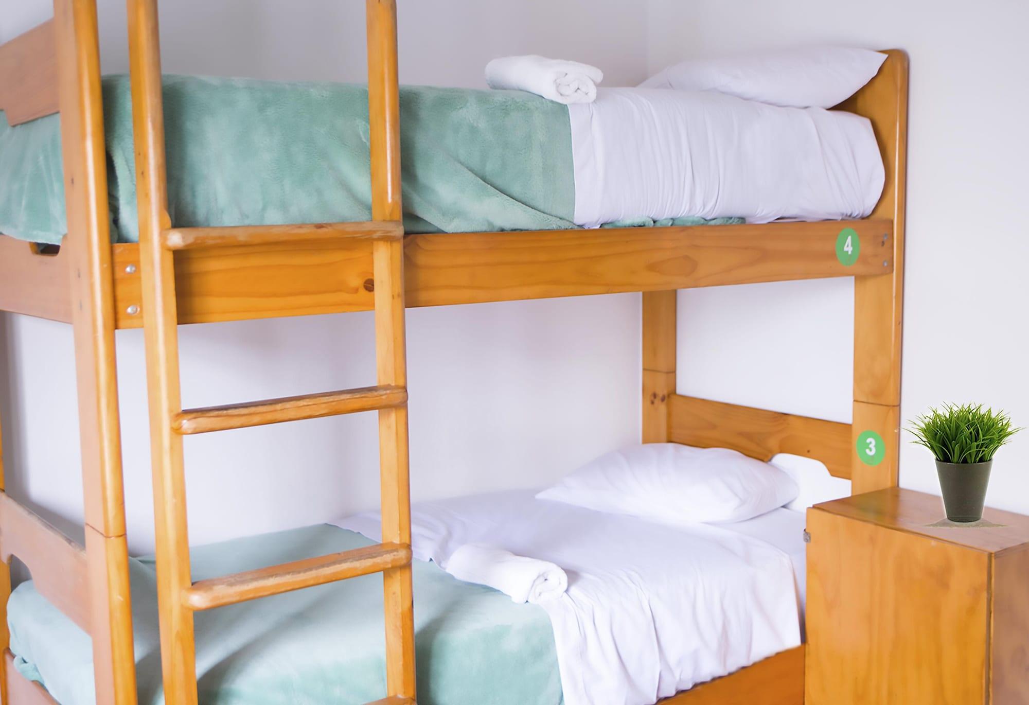 Red Llama Eco Hostel Лима Екстериор снимка