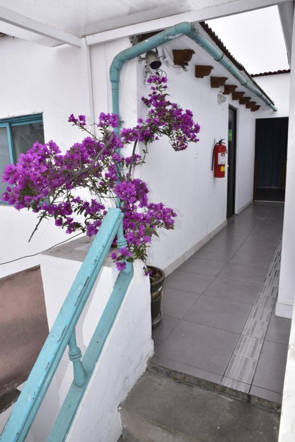 Red Llama Eco Hostel Лима Екстериор снимка